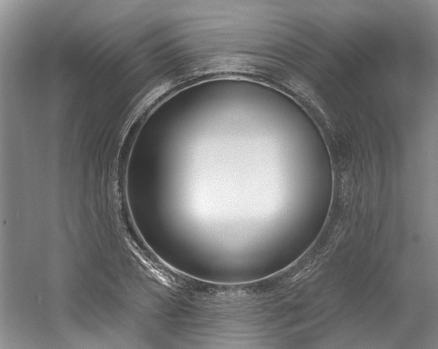 X0000061100882200511181100