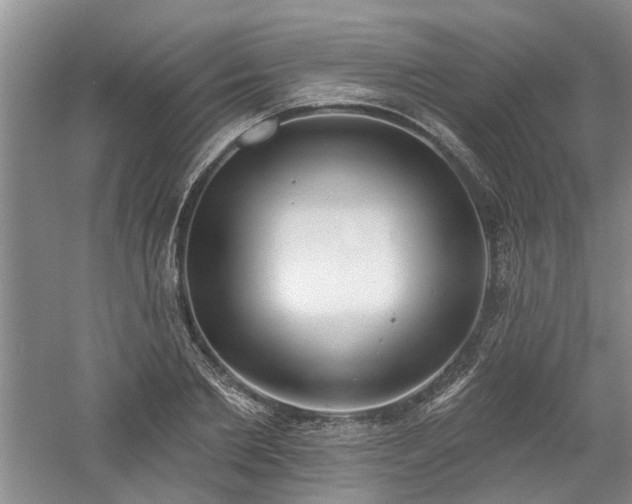 X0000061100885200511181100