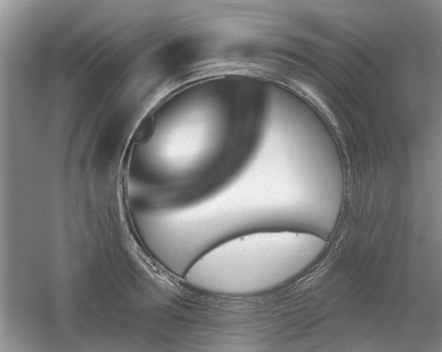 X0000061100899200511181100