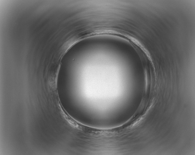 X0000061100905200511181100