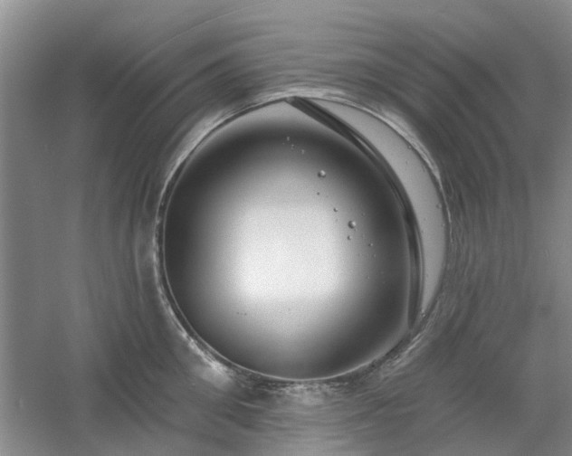 X0000061100906200511181100