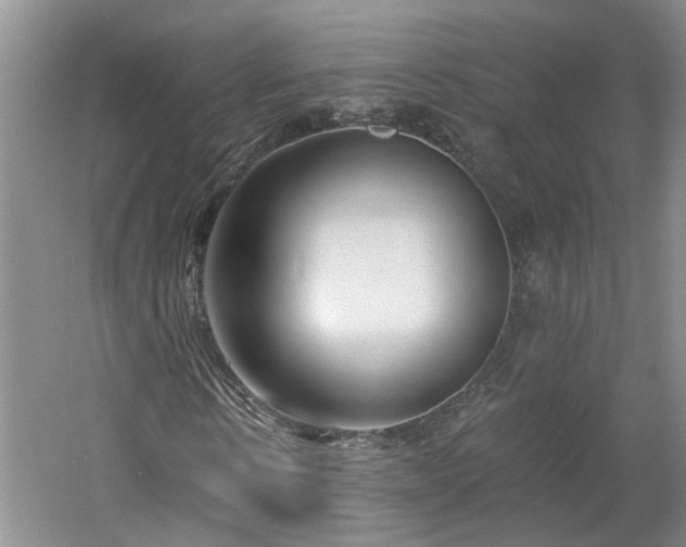 X0000061100914200511181059