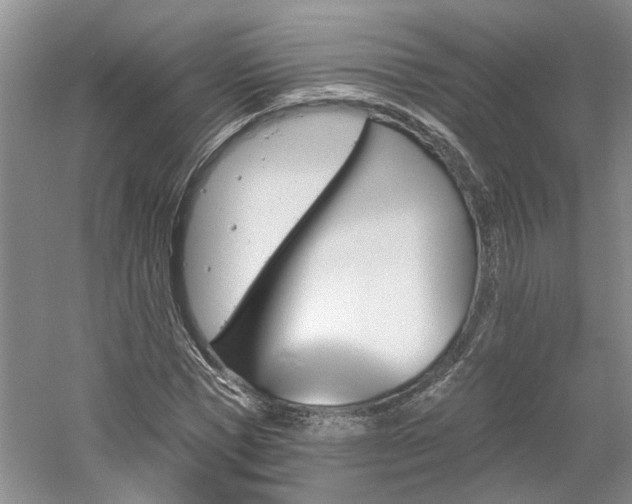 X0000061100921200511181059