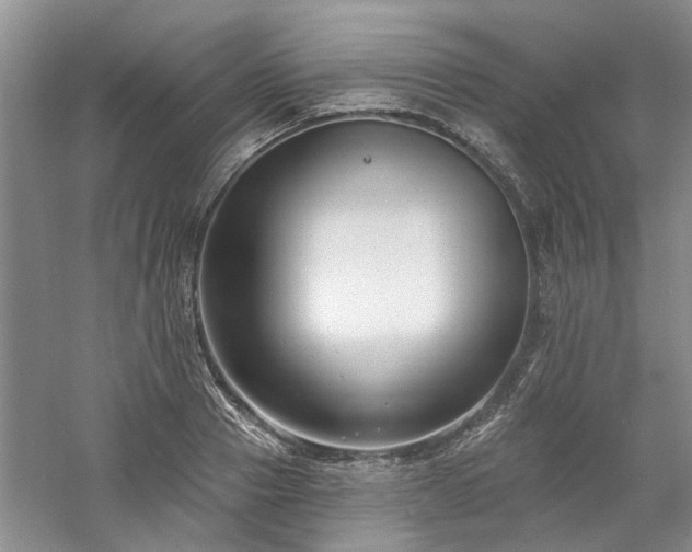 X0000061100937200511181059