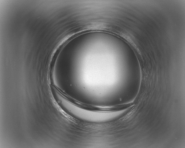 X0000061100939200511181059