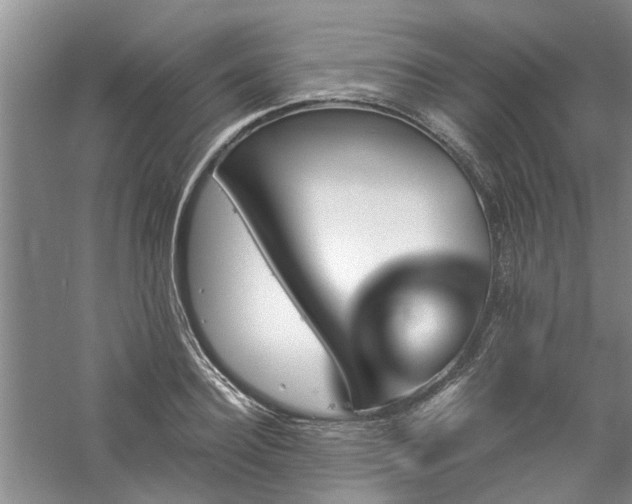 X0000061100940200511181059