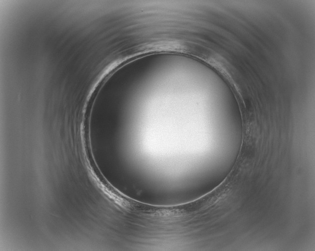 X0000061100947200511181059