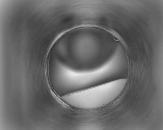 X0000061100958200511181100