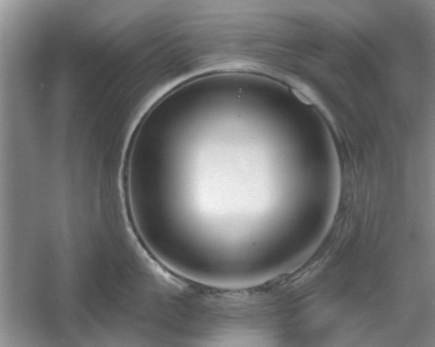 X0000061100959200511181100