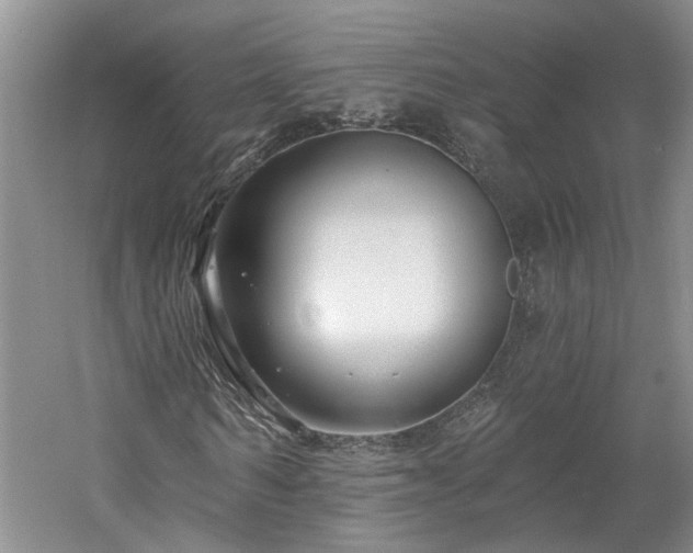 X0000061100962200511181059