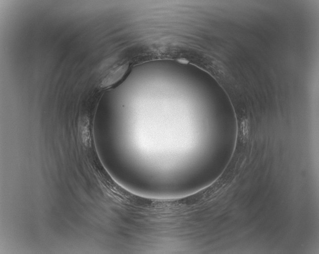 X0000061100963200511181059