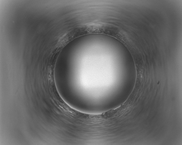 X0000061100964200511181059