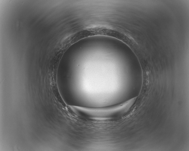 X0000061100965200511181059