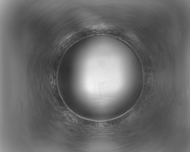 X0000061100966200511181059