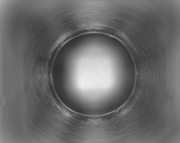 X0000061100978200511181059