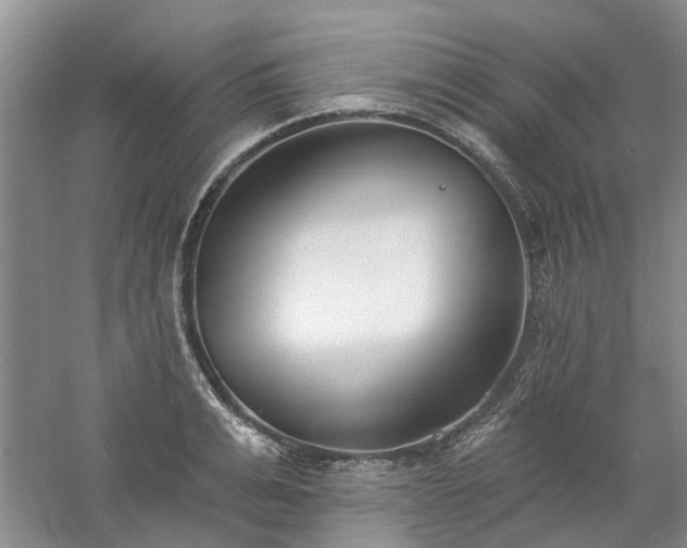 X0000061100991200511181058