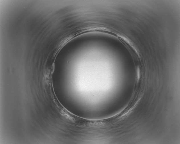 X0000061101001200511181058