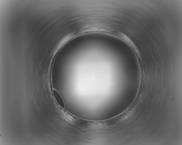X0000061101002200511181058