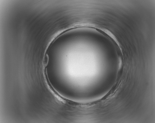 X0000061101005200511181058