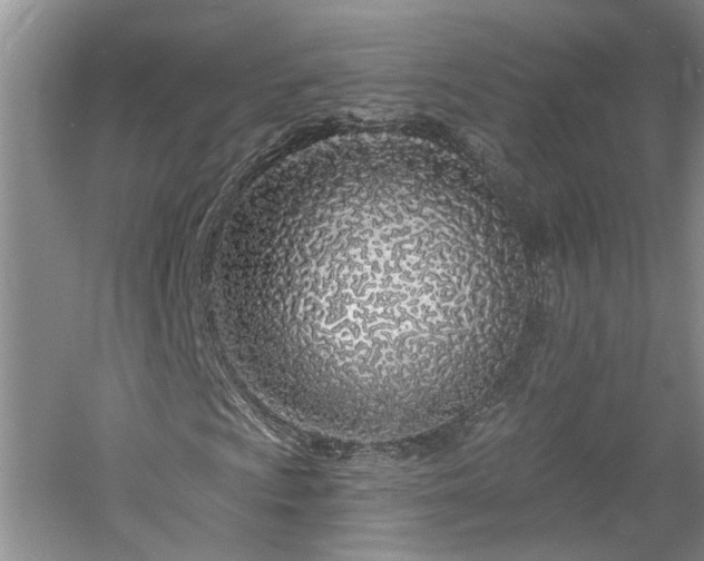 X0000061101009200511181057