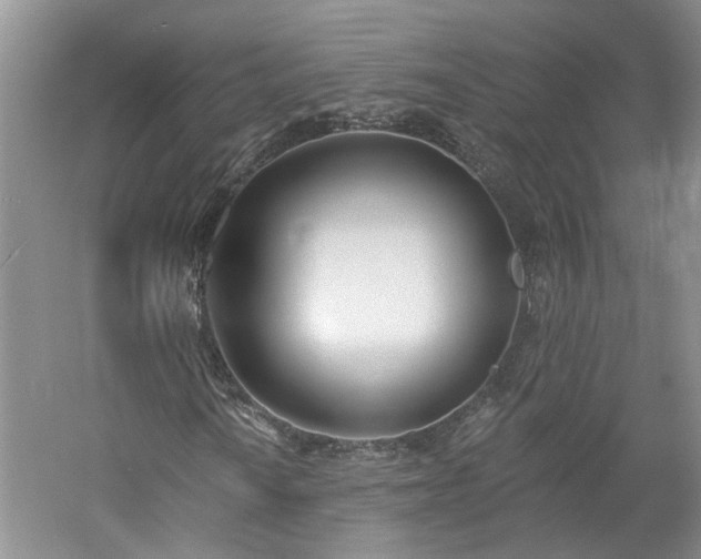 X0000061101010200511181057