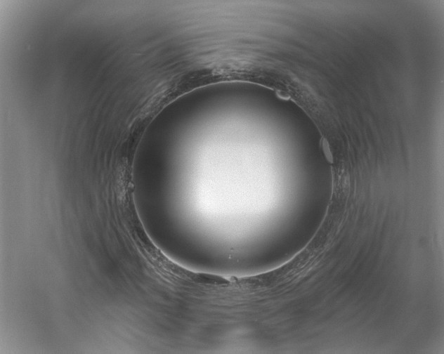 X0000061101012200511181057