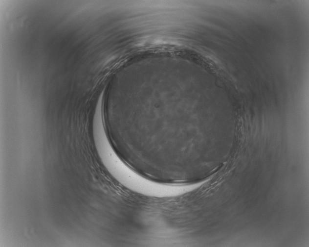 X0000061101013200511181057
