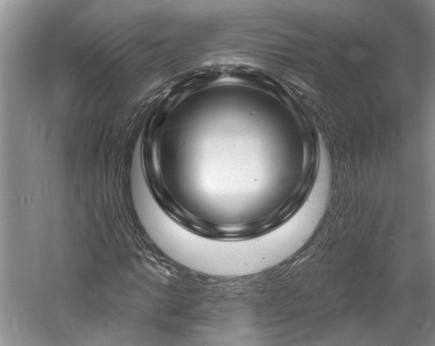 X0000061101014200511181057