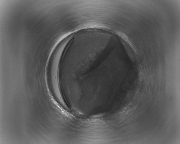 X0000061101024200511181058