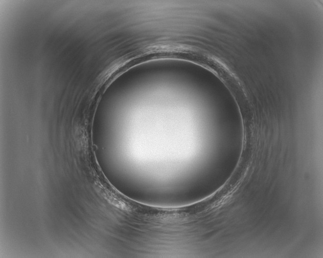 X0000061101025200511181058