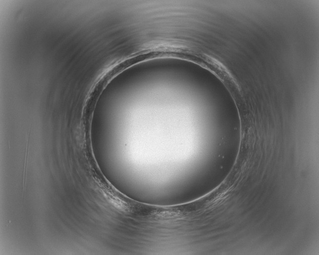 X0000061101027200511181058