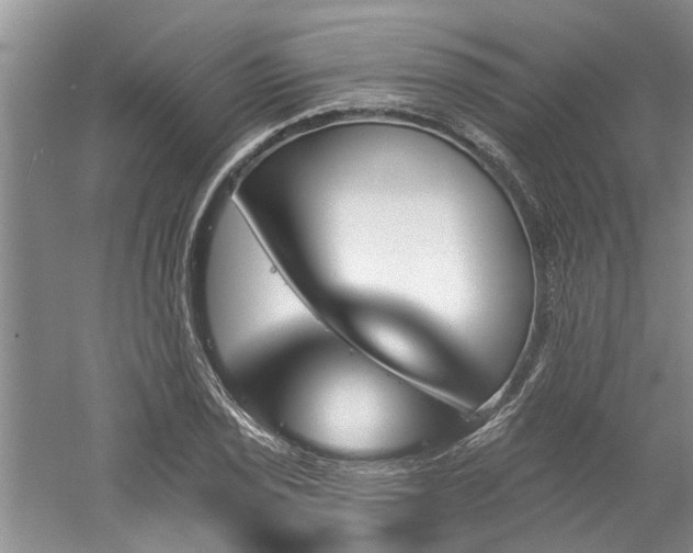 X0000061101029200511181058