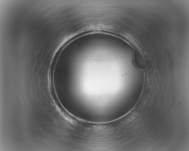 X0000061101032200511181058