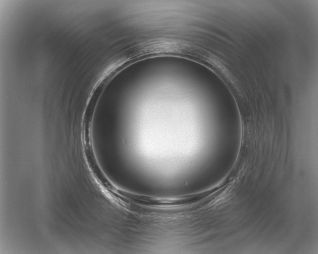 X0000061101034200511181058