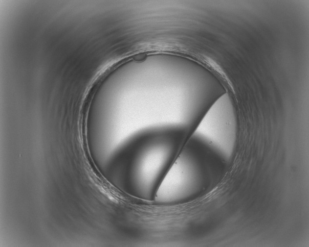 X0000061101035200511181058