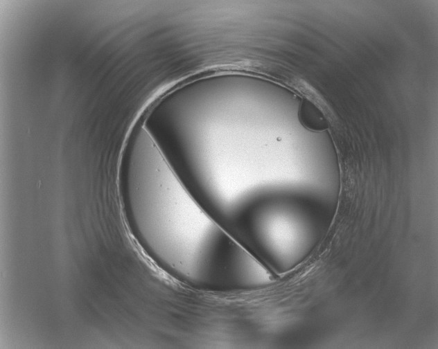 X0000061101036200511181058