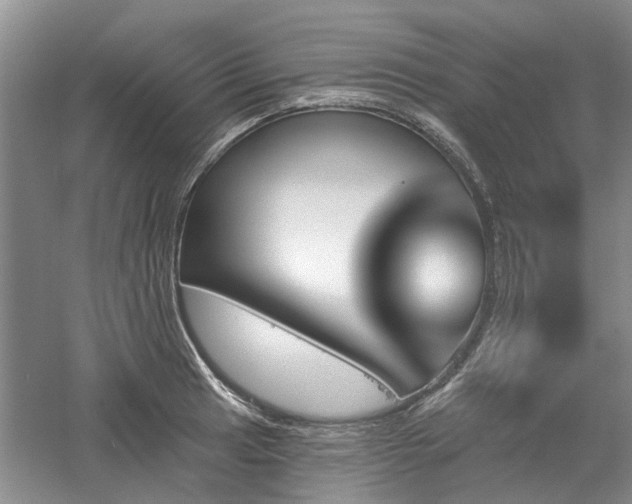 X0000061101041200511181058