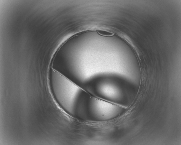X0000061101048200511181058