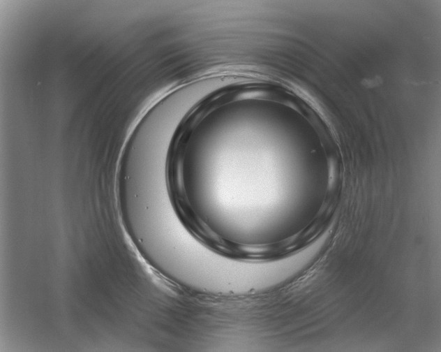 X0000061101050200511181058