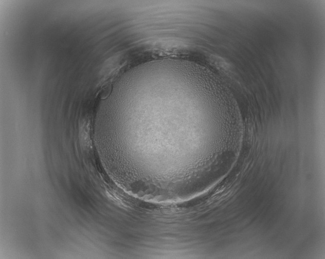 X0000061101060200511181057
