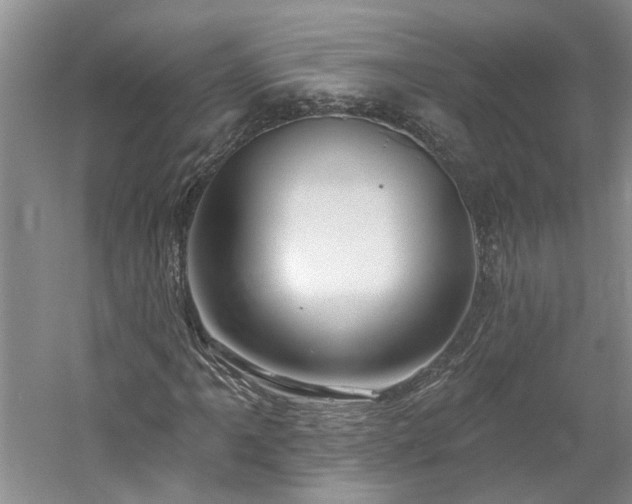 X0000061101061200511181057