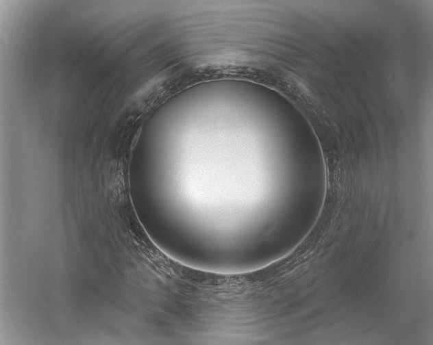 X0000061101062200511181057