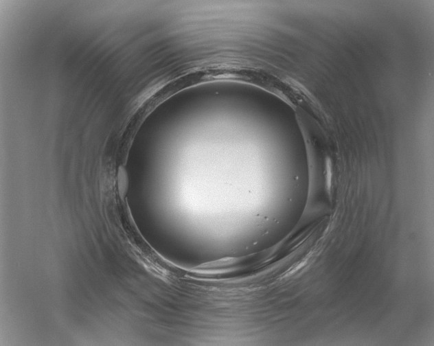 X0000061101065200511181057