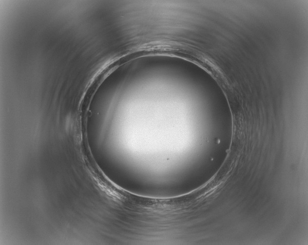X0000061101075200511181057