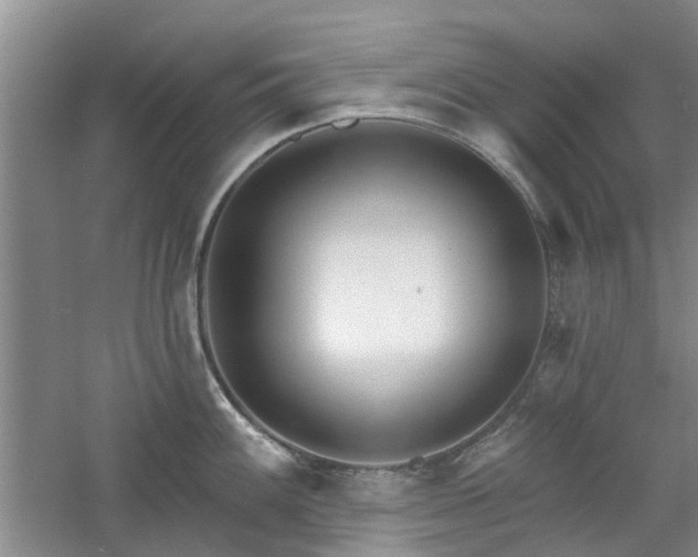 X0000061101100200511181057