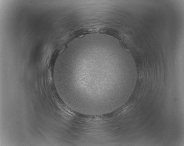 X0000061101106200511181056
