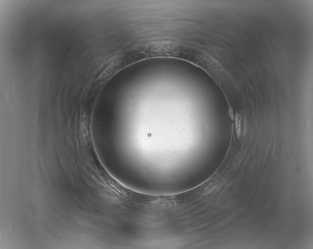X0000061101107200511181056