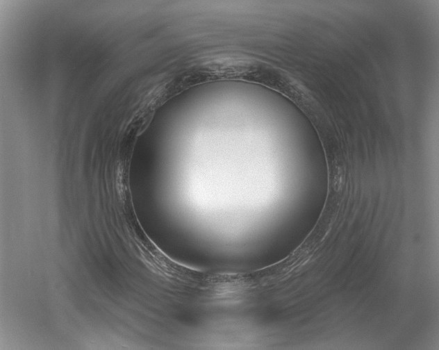 X0000061101108200511181056