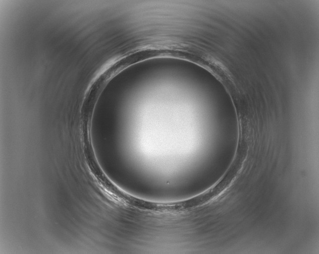 X0000061101114200511181056