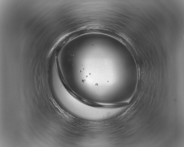 X0000061101115200511181056
